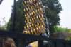 Photo Number 4
