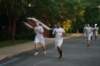 clsjun2009329_small.jpg