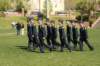 img_7449_small.jpg